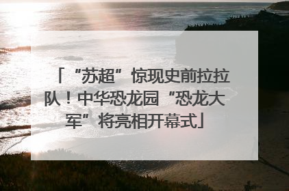 “苏超”惊现史前拉拉队！中华恐龙园“恐龙大军”将亮相开幕式
