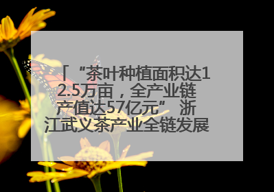 “茶叶种植面积达12.5万亩，全产业链产值达57亿元” 浙江武义茶产业全链发展“加速度”