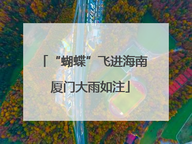 “蝴蝶”飞进海南 厦门大雨如注