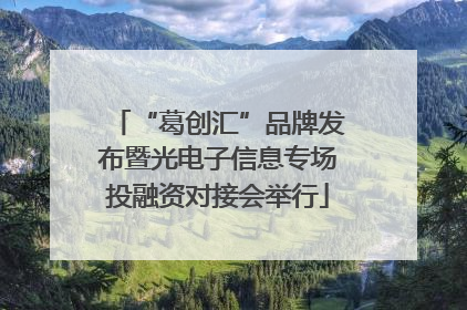 “葛创汇”品牌发布暨光电子信息专场投融资对接会举行