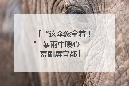 “这伞您拿着！” 暴雨中暖心一幕刷屏宜都