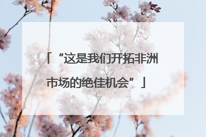“这是我们开拓非洲市场的绝佳机会”