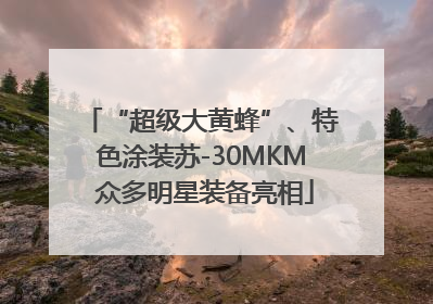 “超级大黄蜂”、特色涂装苏-30MKM 众多明星装备亮相