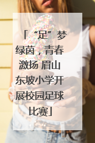 “足”梦绿茵，青春激扬 眉山东坡小学开展校园足球比赛