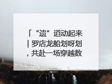 “遗”道动起来｜罗店龙船划呀划，共赴一场穿越数百年的端午之约