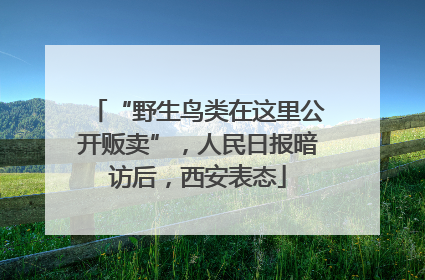 “野生鸟类在这里公开贩卖”，人民日报暗访后，西安表态