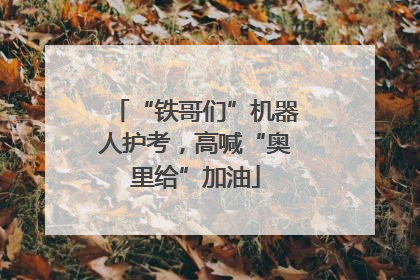 “铁哥们”机器人护考，高喊“奥里给”加油