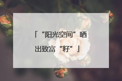 “阳光空间”晒出致富“籽”