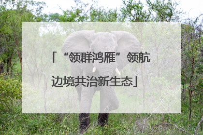 “领群鸿雁”领航边境共治新生态