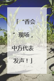 “香会”现场，中方代表发声！