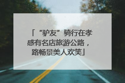 “驴友”骑行在孝感有名店旅游公路，路畅景美人欢笑