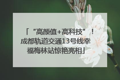 “高颜值+高科技”！成都轨道交通13号线幸福梅林站惊艳亮相