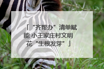 “齐帮办”清单赋能 小王家庄村文明花“生根发芽”
