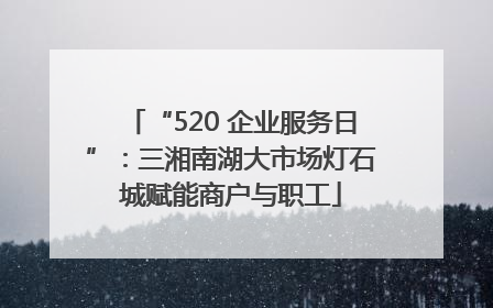 “520 企业服务日”：三湘南湖大市场灯石城赋能商户与职工