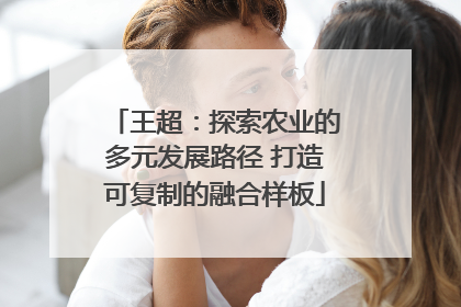 王超：探索农业的多元发展路径 打造可复制的融合样板