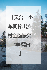 灵台：小车间榨出乡村全面振兴“幸福油”