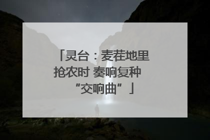 灵台：麦茬地里抢农时 奏响复种“交响曲”