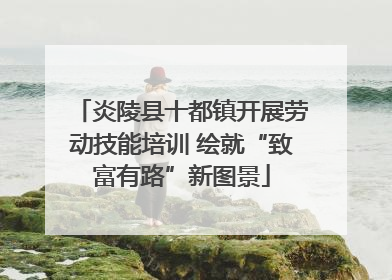 炎陵县十都镇开展劳动技能培训 绘就“致富有路”新图景