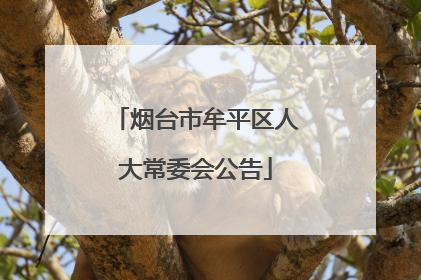 烟台市牟平区人大常委会公告