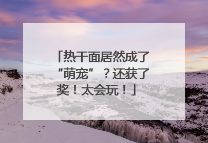 热干面居然成了“萌宠”？还获了奖！太会玩！