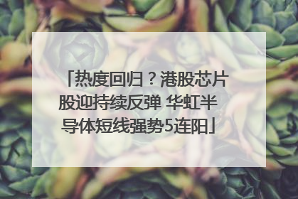 热度回归？港股芯片股迎持续反弹 华虹半导体短线强势5连阳