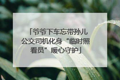 爷爷下车忘带孙儿 公交司机化身“临时照看员”暖心守护