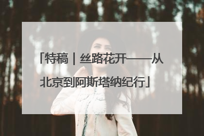 特稿｜丝路花开——从北京到阿斯塔纳纪行