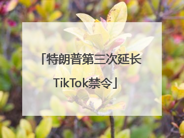 特朗普第三次延长TikTok禁令