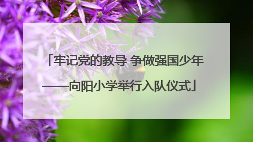 牢记党的教导 争做强国少年——向阳小学举行入队仪式