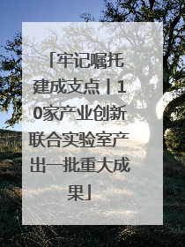 牢记嘱托 建成支点丨10家产业创新联合实验室产出一批重大成果