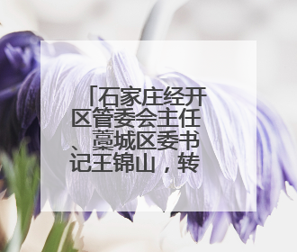 石家庄经开区管委会主任、藁城区委书记王锦山，转任市政府二级巡视员