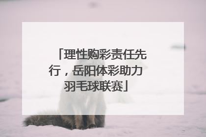 理性购彩责任先行，岳阳体彩助力羽毛球联赛