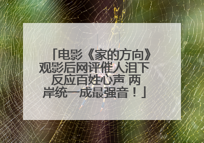 电影《家的方向》观影后网评催人泪下 反应百姓心声 两岸统一成最强音！