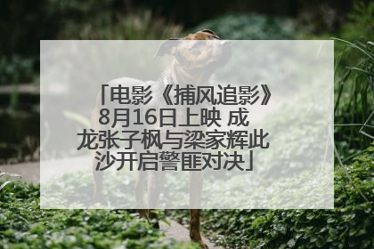 电影《捕风追影》8月16日上映 成龙张子枫与梁家辉此沙开启警匪对决