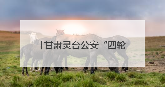 甘肃灵台公安“四轮驱动”砺精兵 战训融合筑牢平安基石
