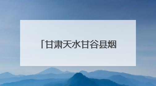 甘肃天水甘谷县烟草专卖局开展“粽香慰童稚，邻里共端阳”主题活动