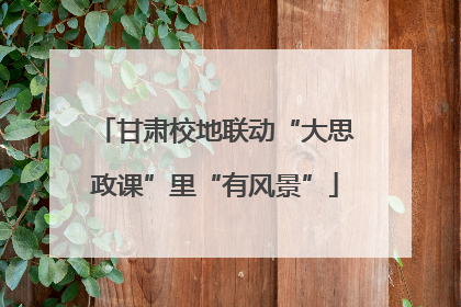 甘肃校地联动“大思政课”里“有风景”