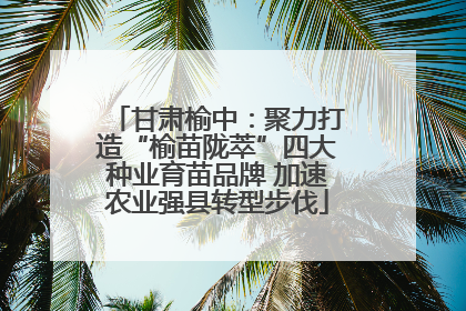 甘肃榆中：聚力打造“榆苗陇萃”四大种业育苗品牌 加速农业强县转型步伐