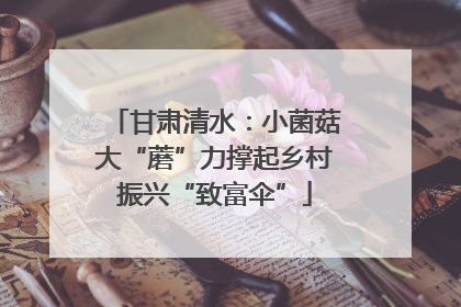 甘肃清水：小菌菇大“蘑”力撑起乡村振兴“致富伞”
