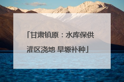 甘肃镇原：水库保供 灌区浇地 旱塬补种