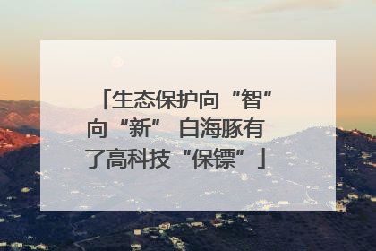 生态保护向“智”向“新” 白海豚有了高科技“保镖”