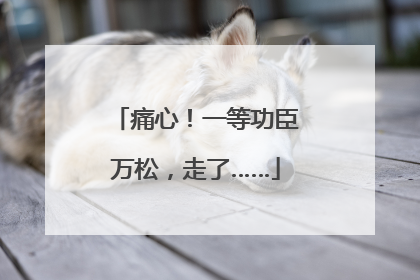 痛心！一等功臣万松，走了……