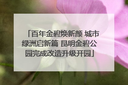 百年金碧焕新颜 城市绿洲启新篇 昆明金碧公园完成改造升级开园