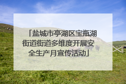 盐城市亭湖区宝瓶湖街道街道多维度开展安全生产月宣传活动