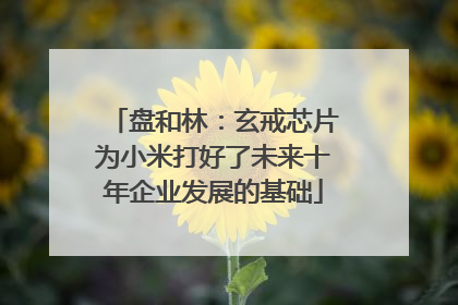 盘和林：玄戒芯片为小米打好了未来十年企业发展的基础