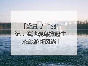 盛夏寻 “羽” 记：滇池观鸟掀起生态旅游新风尚