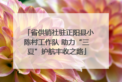 省供销社驻正阳县小陈村工作队 助力“三夏”护航丰收之路