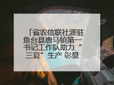 省农信联社派驻鱼台县唐马镇第一书记工作队助力“三夏”生产 彰显为民担当