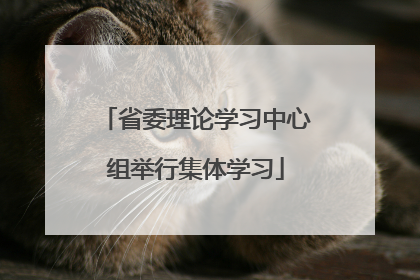 省委理论学习中心组举行集体学习