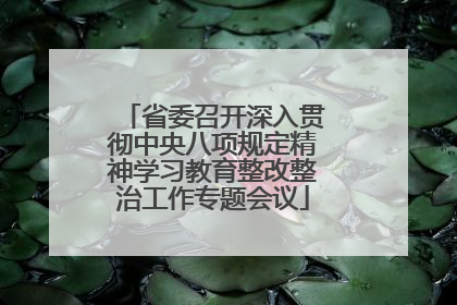 省委召开深入贯彻中央八项规定精神学习教育整改整治工作专题会议